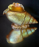 Loetz Art Glass "Candia Papillon" Gold Iridescent Conche Shell Vase c1900