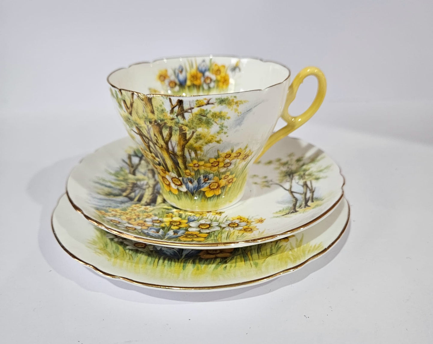 Shelley "Daffodil Time" #13370 Trio and Cake Plate