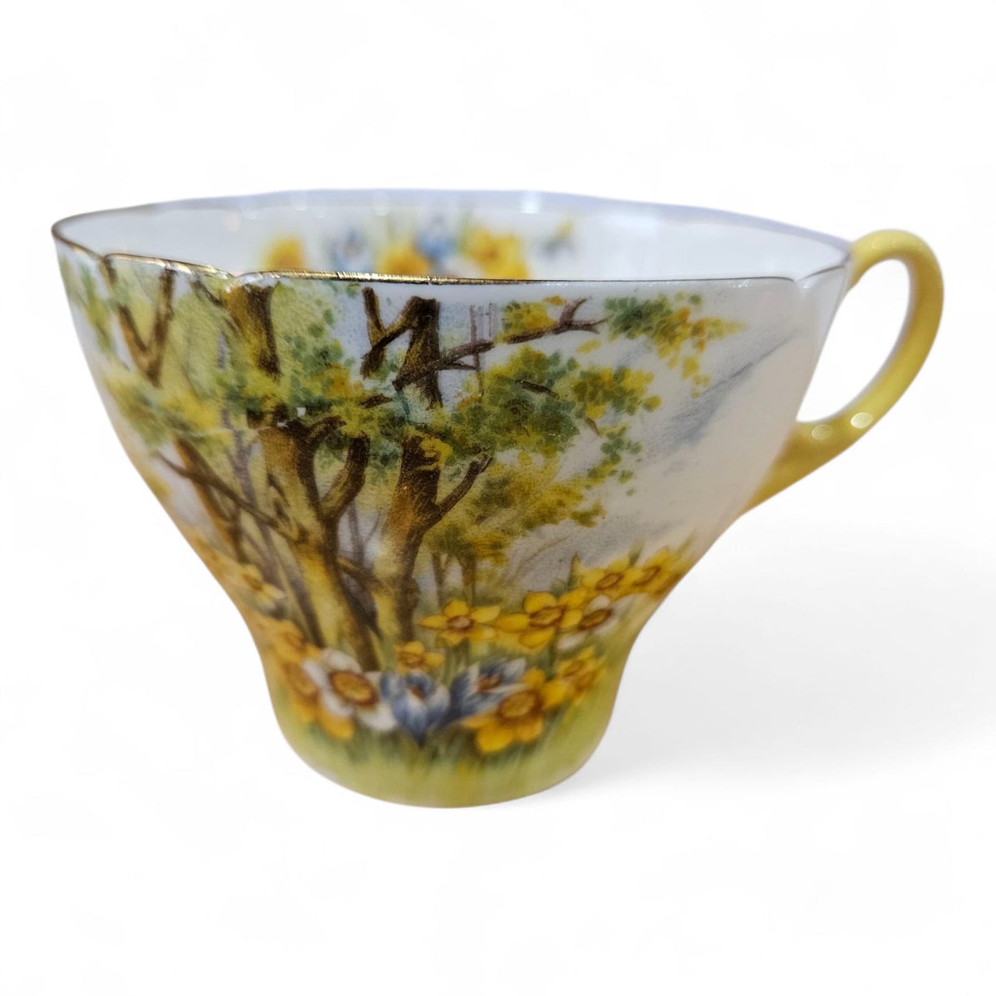 Shelley "Daffodil Time" #13370 Trio and Cake Plate