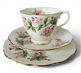 Royal Albert Evesham Tea set Trio c1970s Countess Shape Made in England