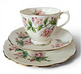 Royal Albert Evesham Tea set Trio c1970s Countess Shape Made in England