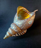 Loetz Austrian Art Glass "Candia Papillon" Gold Iridescent Conche Shell Vase c1900