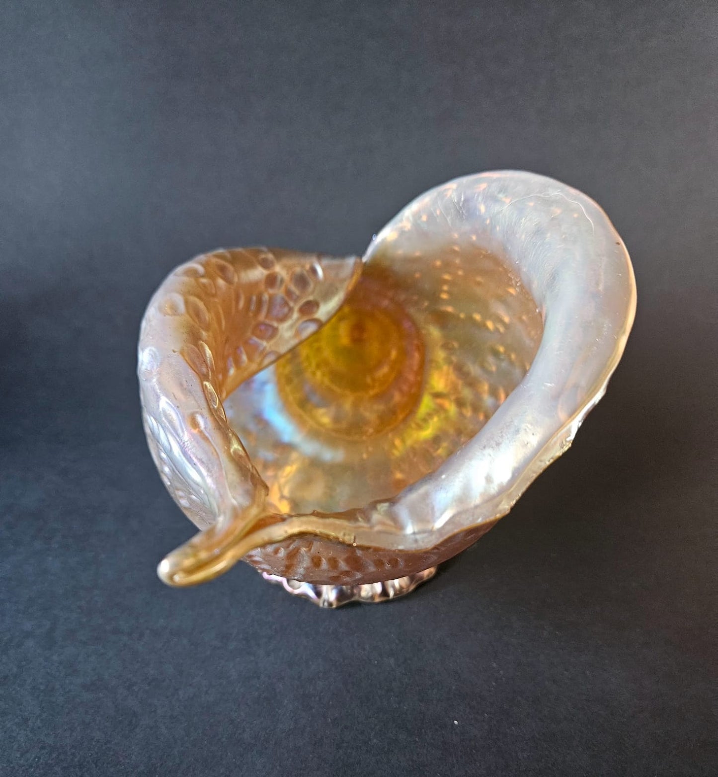 Loetz Austrian Art Glass "Candia Papillon" Gold Iridescent Conche Shell Vase c1900