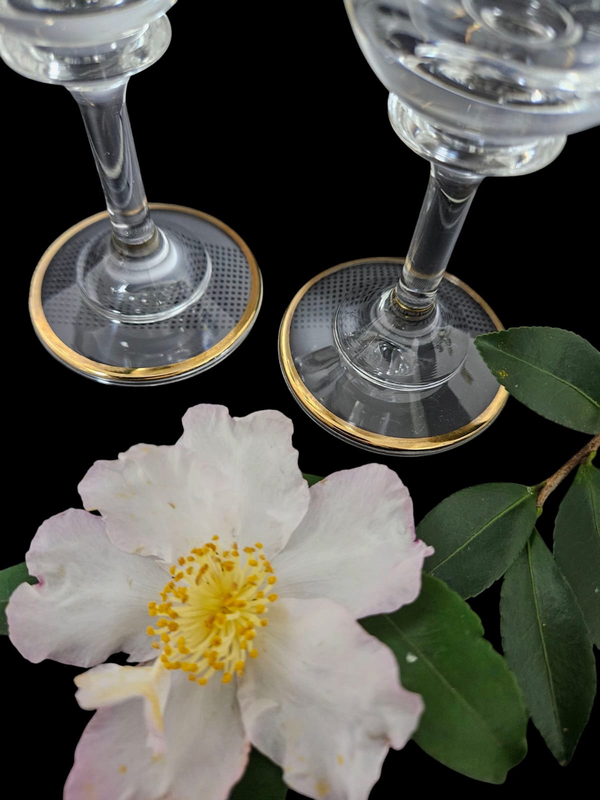 2 x Champagne flutes from Murano, Medici pattern with Gold encrusted Band, etched Scrolls