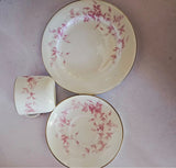 19th Century Royal China Works Grainger & Company Royal Worcester Trio #3546