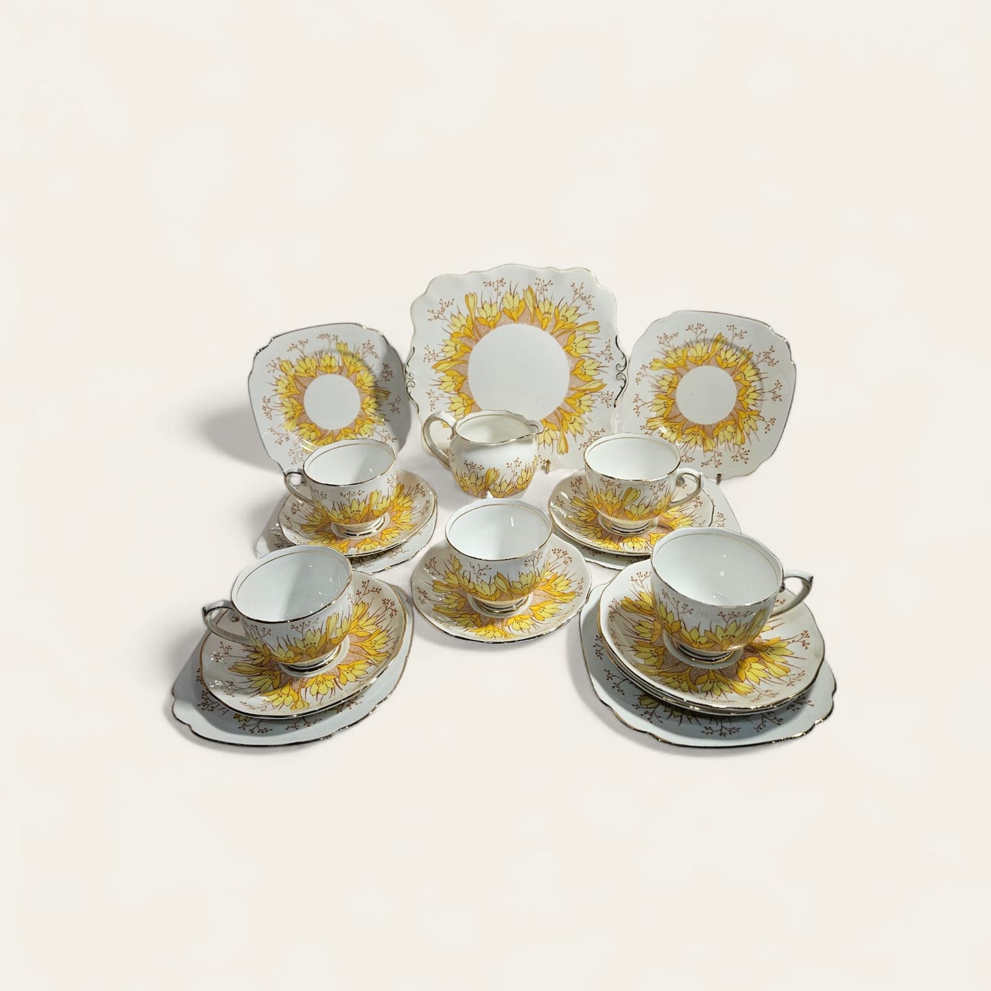 Vintage Roslyn China Alba 19 pieces Tea Set , Pattern No 7866
