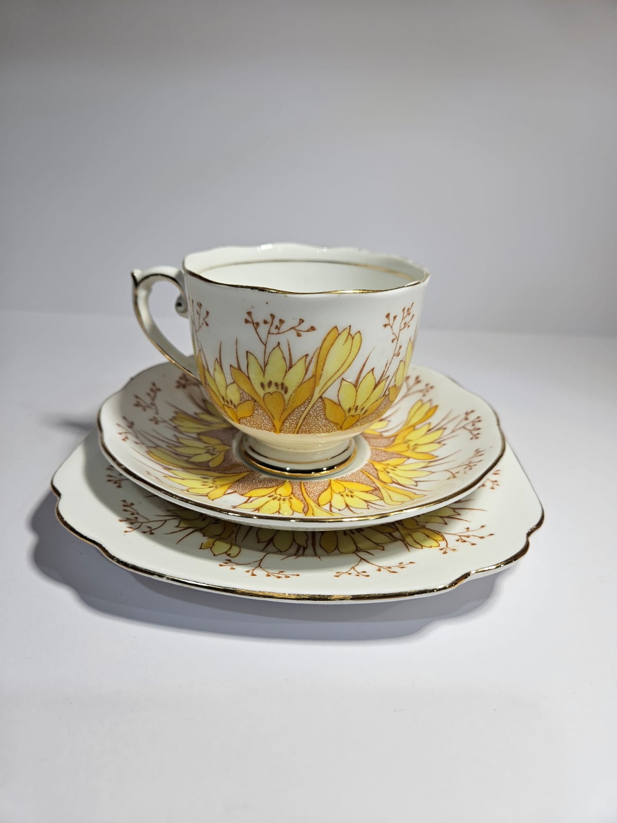 Vintage Roslyn China Alba 19 pieces Tea Set , Pattern No 7866