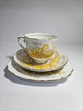 Vintage Roslyn China Alba 19 pieces Tea Set , Pattern No 7866