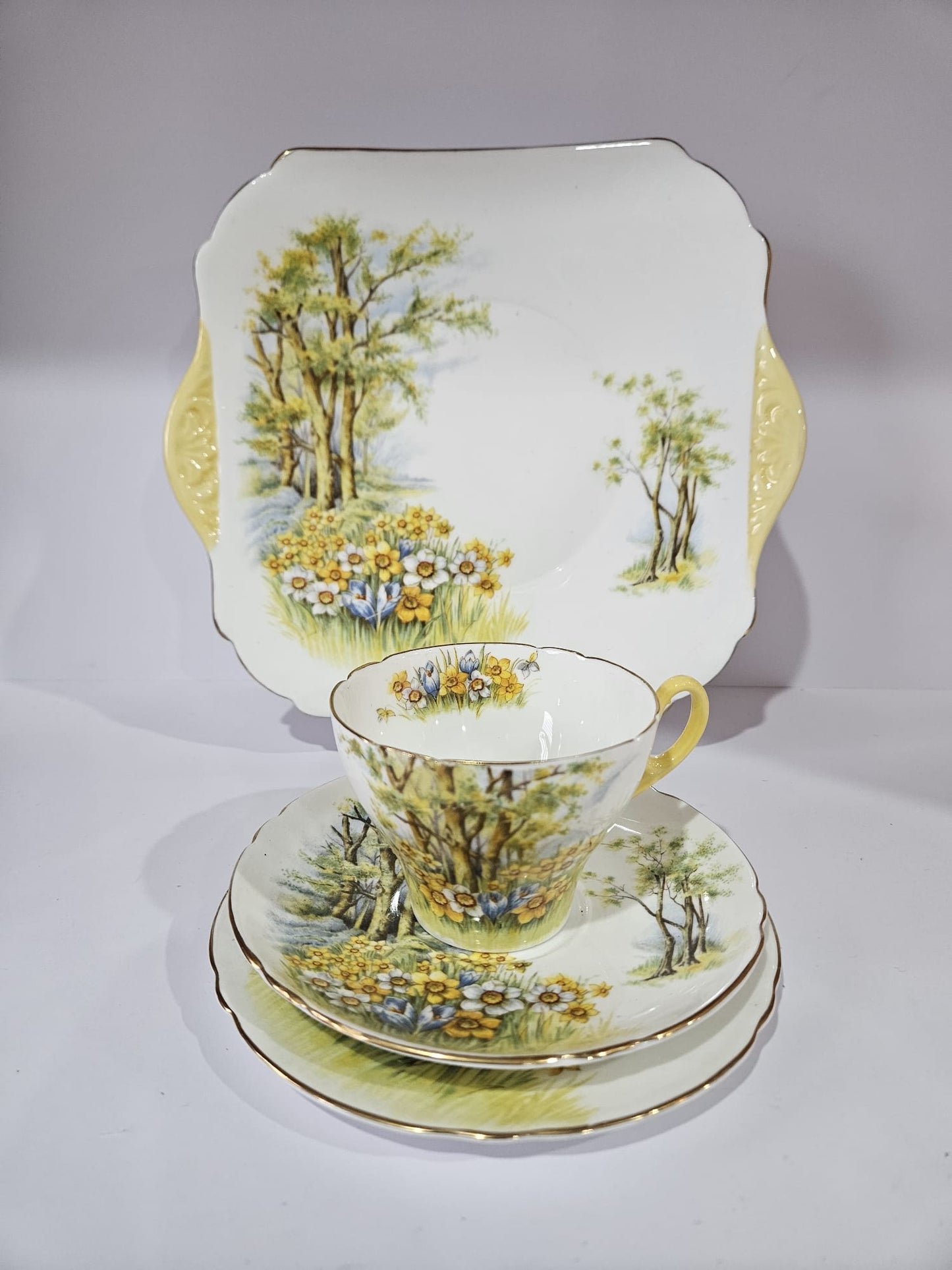 Shelley "Daffodil Time" #13370 Trio and Cake Plate