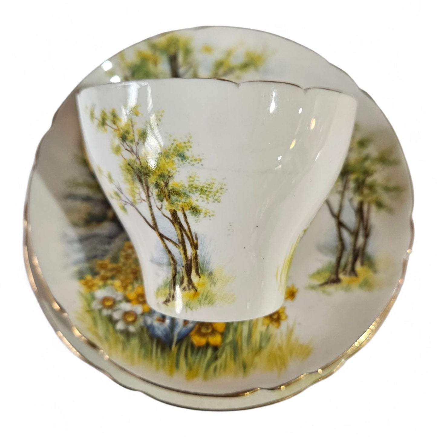 Shelley "Daffodil Time" #13370 Trio and Cake Plate