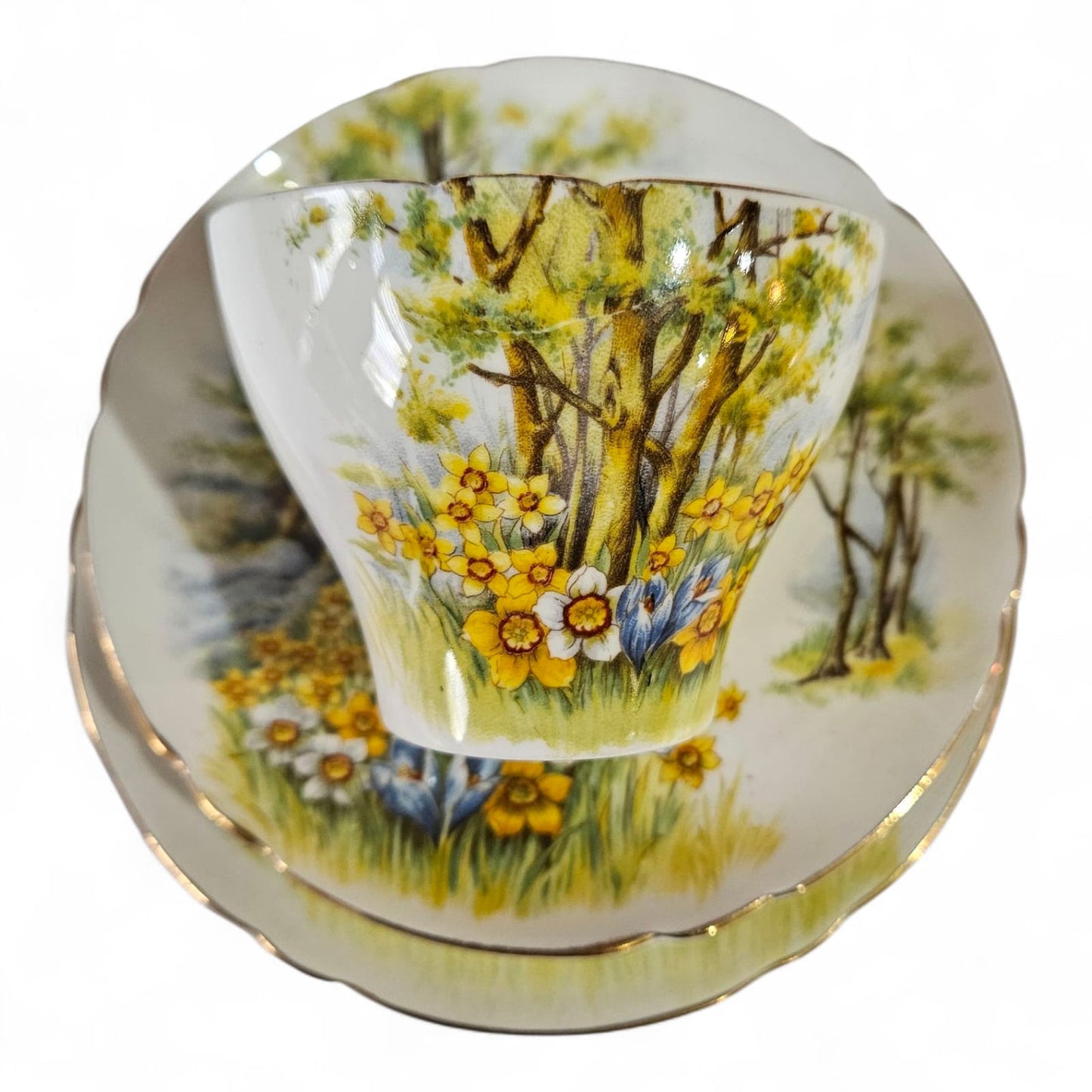 Shelley "Daffodil Time" #13370 Trio and Cake Plate