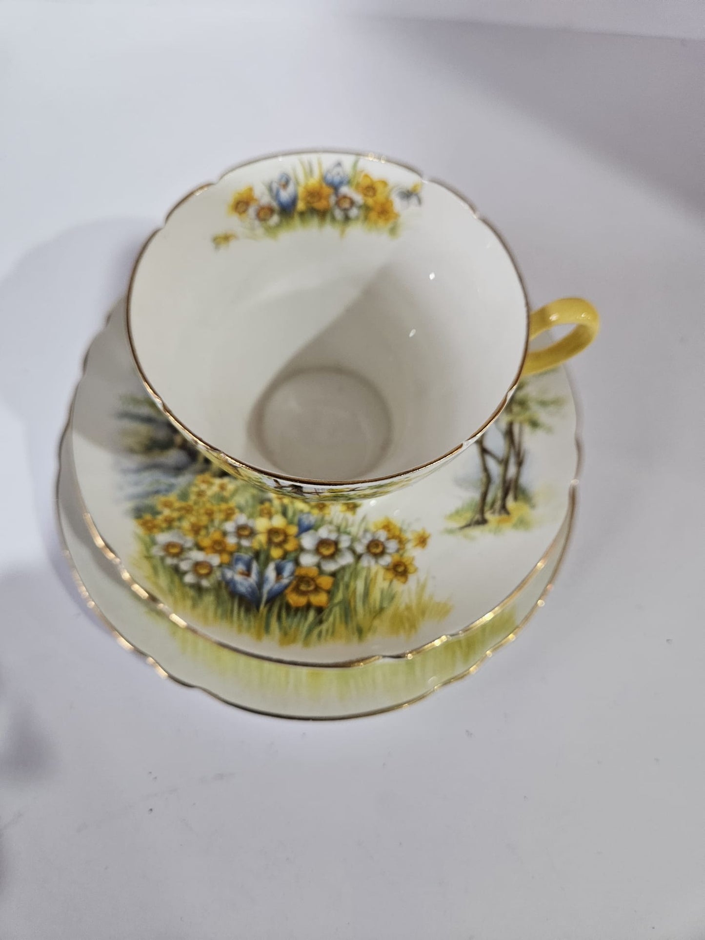 Shelley "Daffodil Time" #13370 Trio and Cake Plate