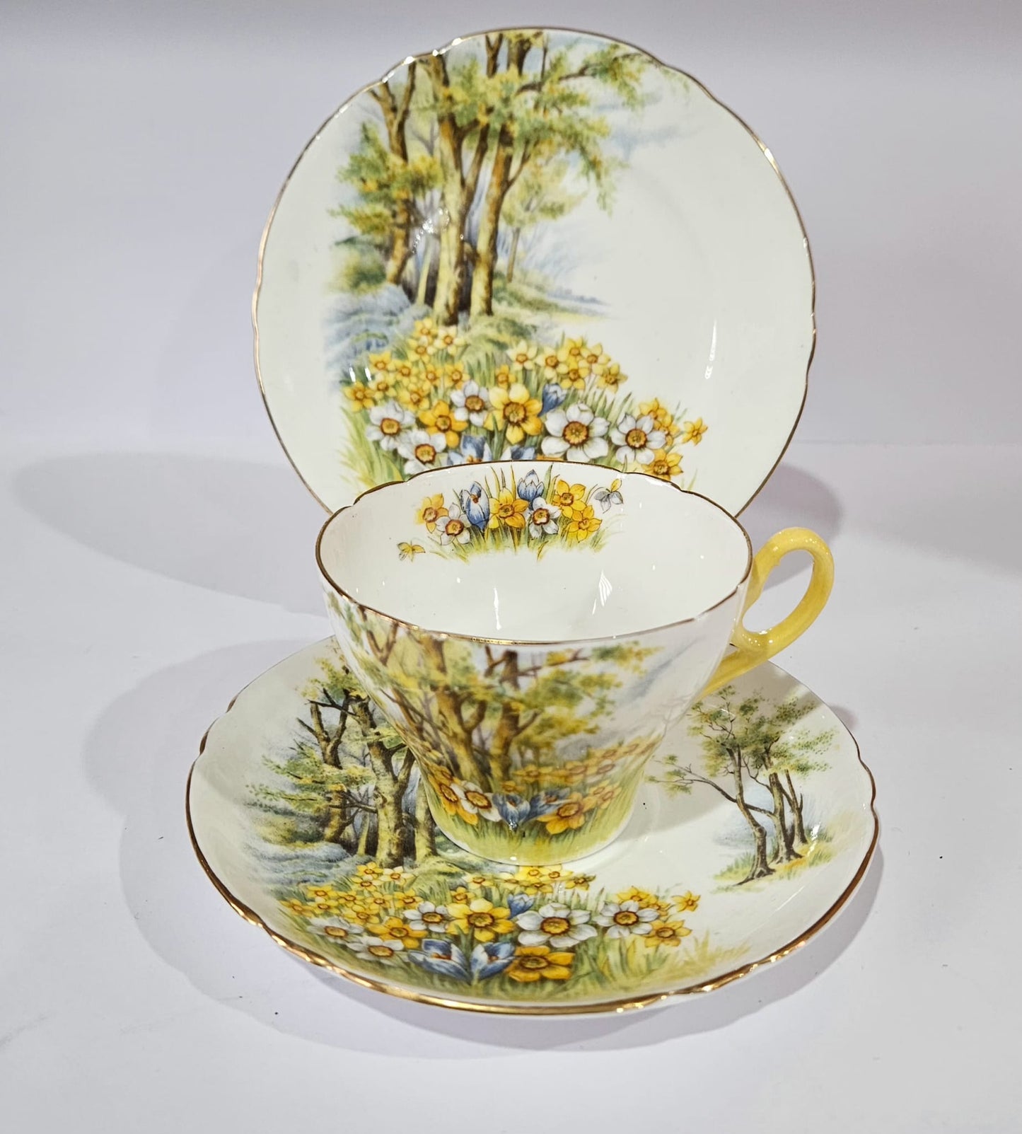 Shelley "Daffodil Time" #13370 Trio and Cake Plate