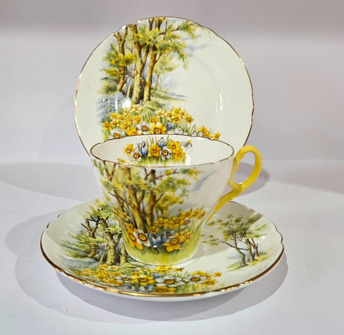 Shelley "Daffodil Time" #13370 Trio and Cake Plate