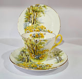 Shelley « Daffodil Time » n° 13370 Trio et assiette à gâteau