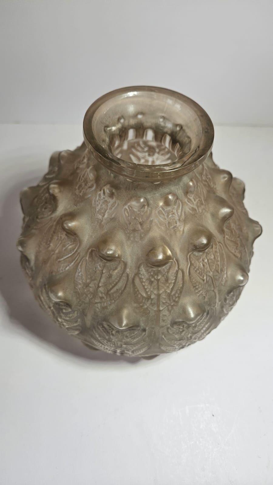 Lalique FOUGERES Vase with grey frosted patina circa 1913