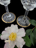2 x Champagne flutes from Murano, Medici pattern with Gold encrusted Band, etched Scrolls