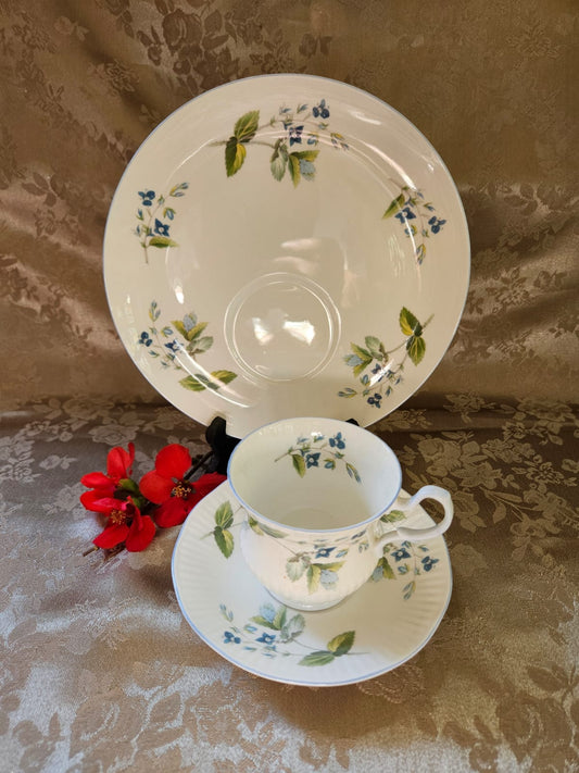 Vintage Delicate Queen's Fine Bone China Teacup Trio - Rosina China Co Ltd