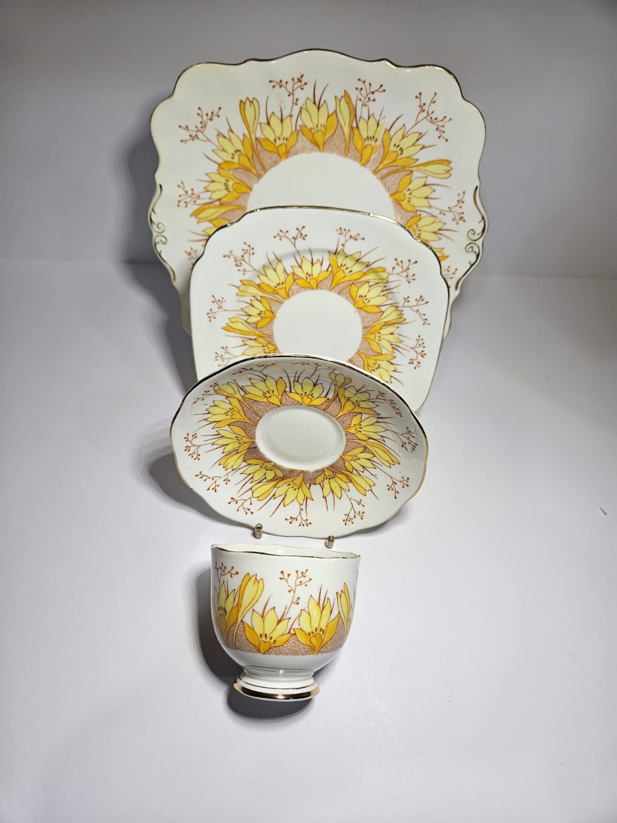 Vintage Roslyn China Alba 19 pieces Tea Set , Pattern No 7866