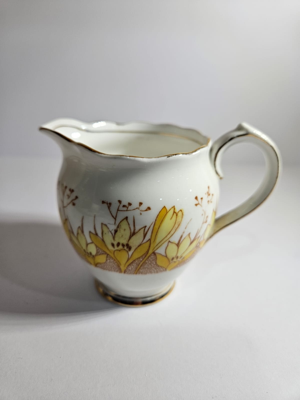 Vintage Roslyn China Alba 19 pieces Tea Set , Pattern No 7866