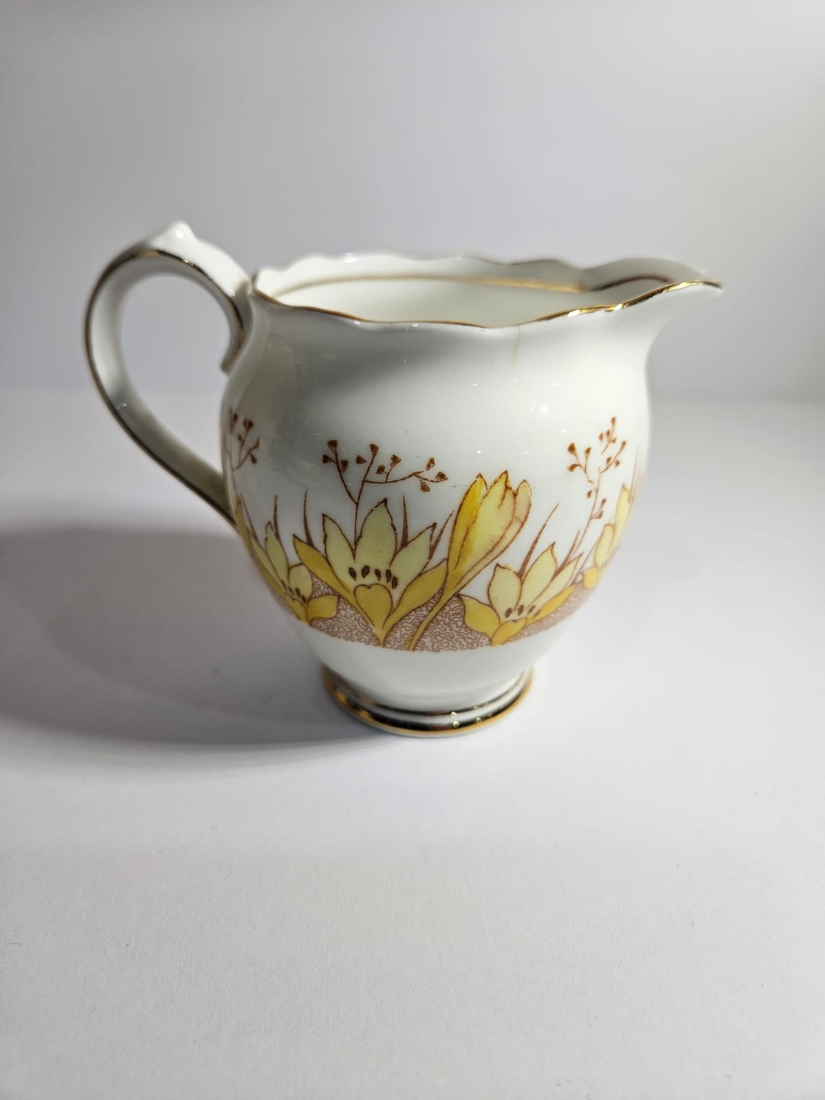Vintage Roslyn China Alba 19 pieces Tea Set , Pattern No 7866