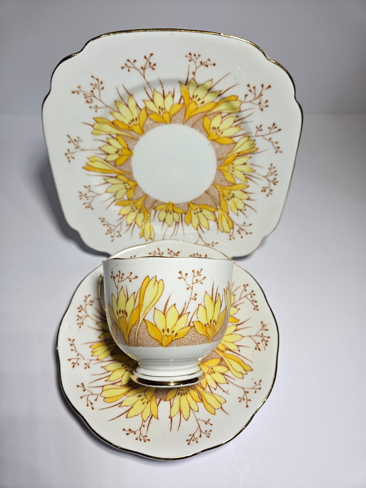 Vintage Roslyn China Alba 19 pieces Tea Set , Pattern No 7866