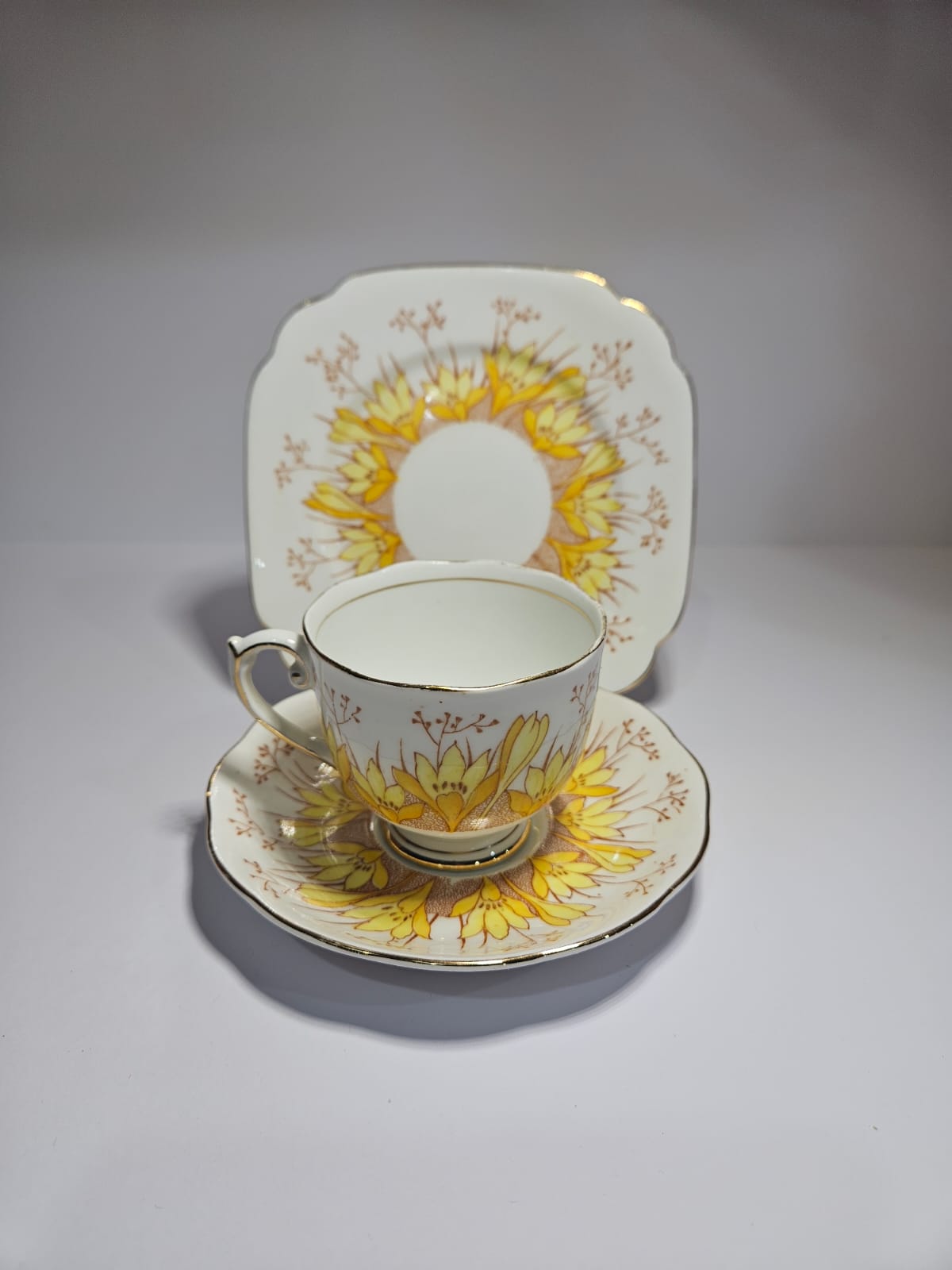 Vintage Roslyn China Alba 19 pieces Tea Set , Pattern No 7866