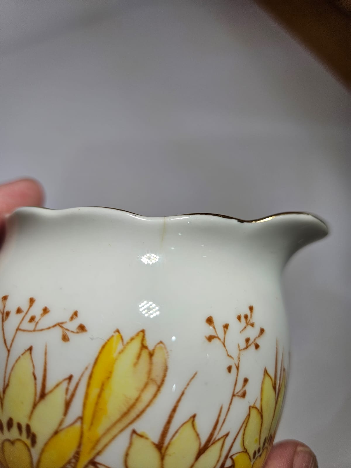 Vintage Roslyn China Alba 19 pieces Tea Set , Pattern No 7866
